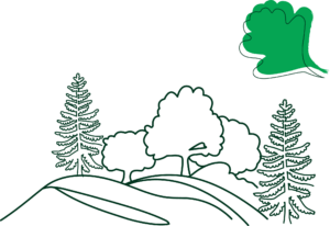 Illustration d'une forêt et d'une feuille verte