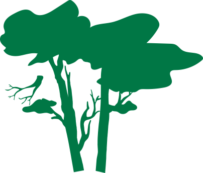 Illustration bucheron dans un arbre