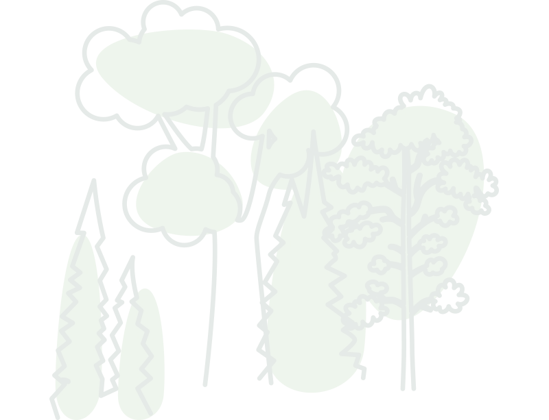 Filigrane illustration forêt
