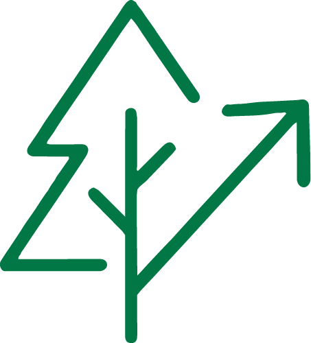 Illustration sapin vert