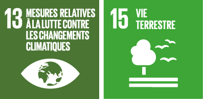 Icônes des engagements