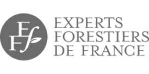 Logo EFF