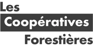 Logo UCFF